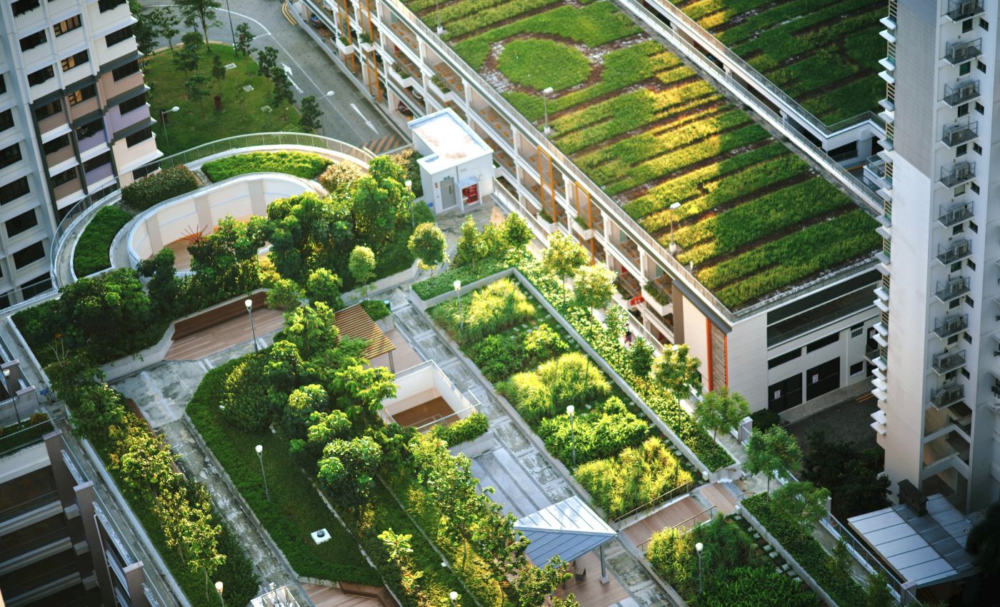 Green roofs offer habitat opportunities for diverse species