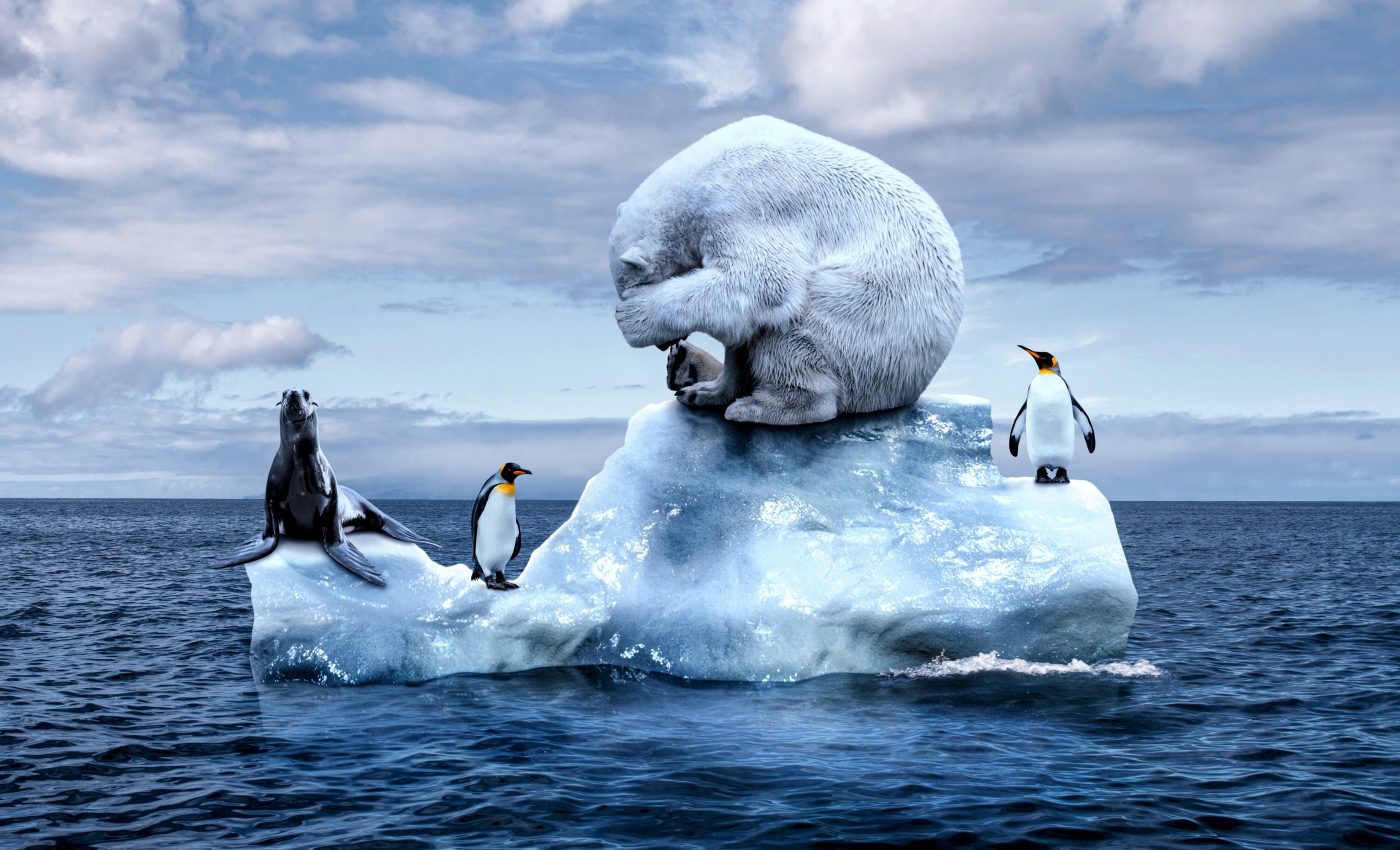 Shocking UN report: The worst of climate change is yet to come