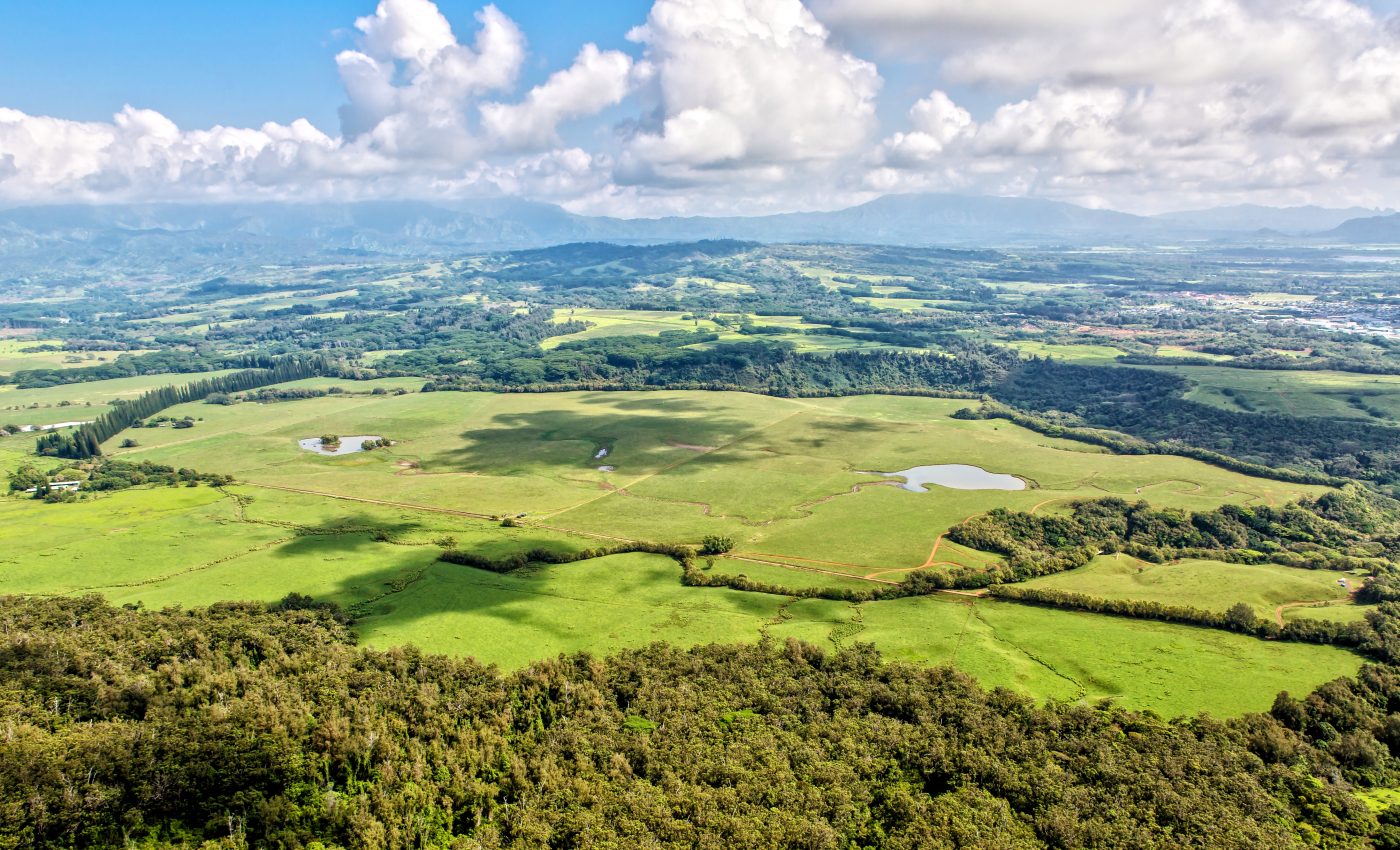 Water constraints are stunting vegetation growth in the Northern Hemisphere