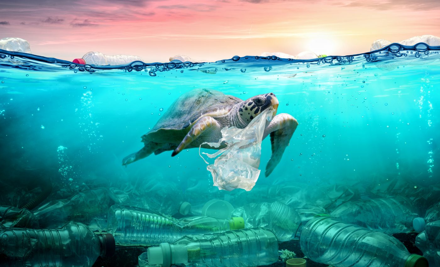 The global issue of plastic trash nears a tipping point