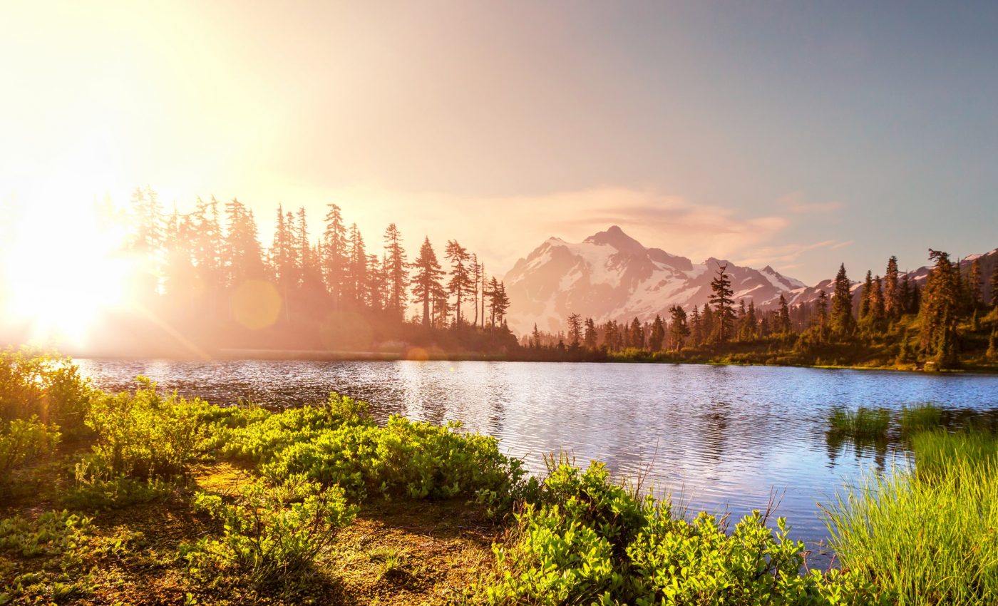 Pacific Northwest heatwave is a warning of what's to come