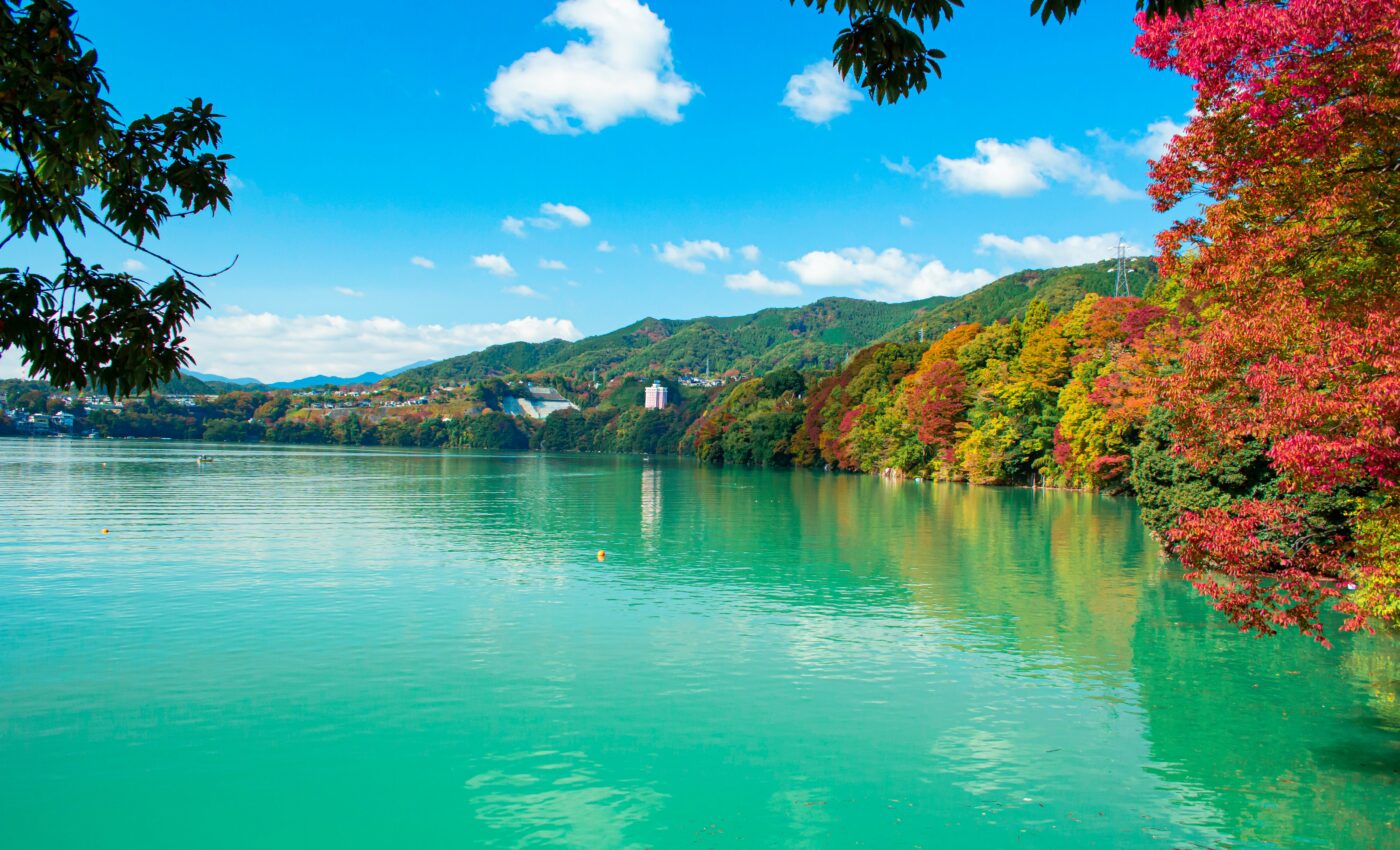 Algae species with three sexes discovered in Japan