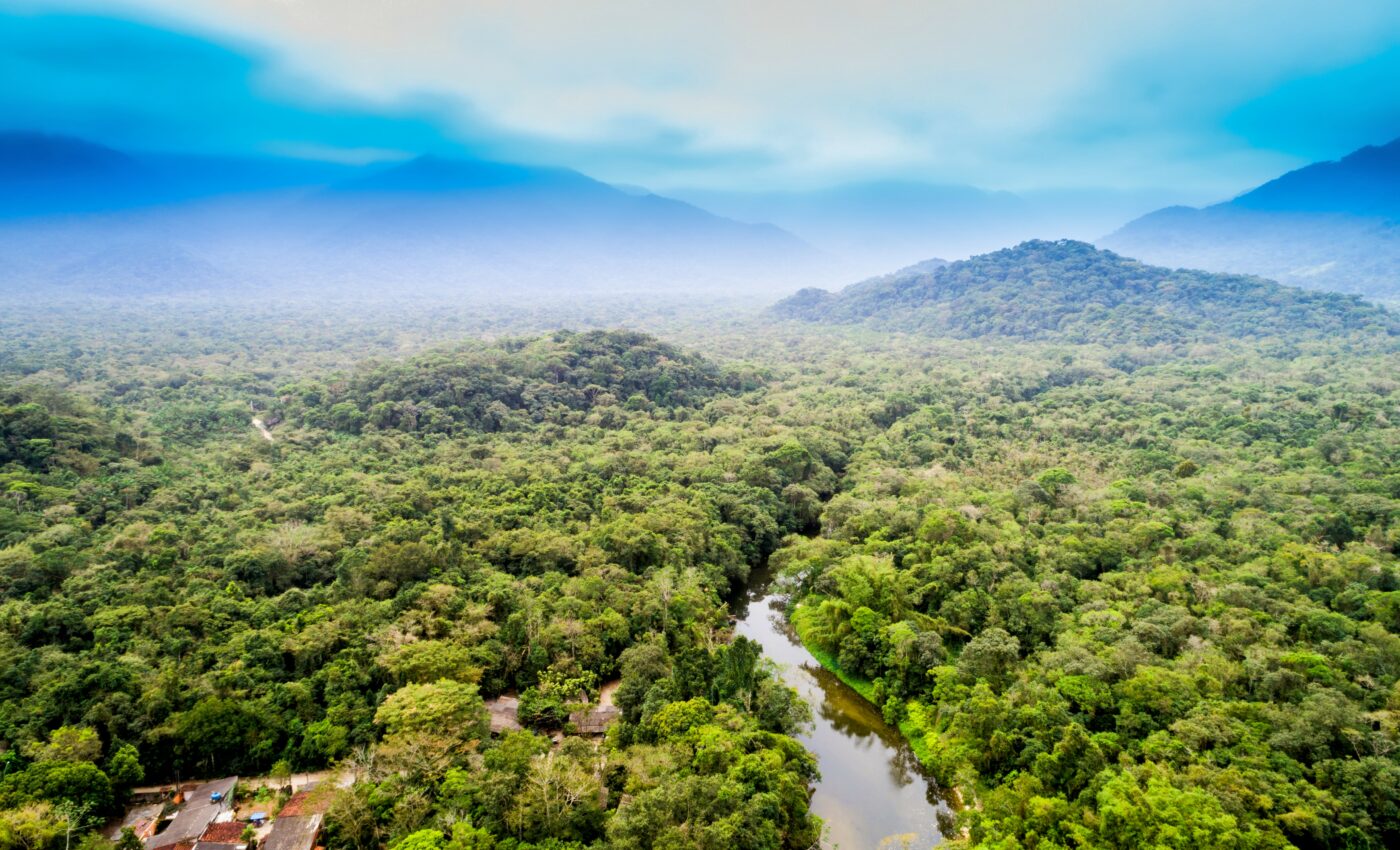 Forest recovery is lacking in the most deforested areas of the Amazon