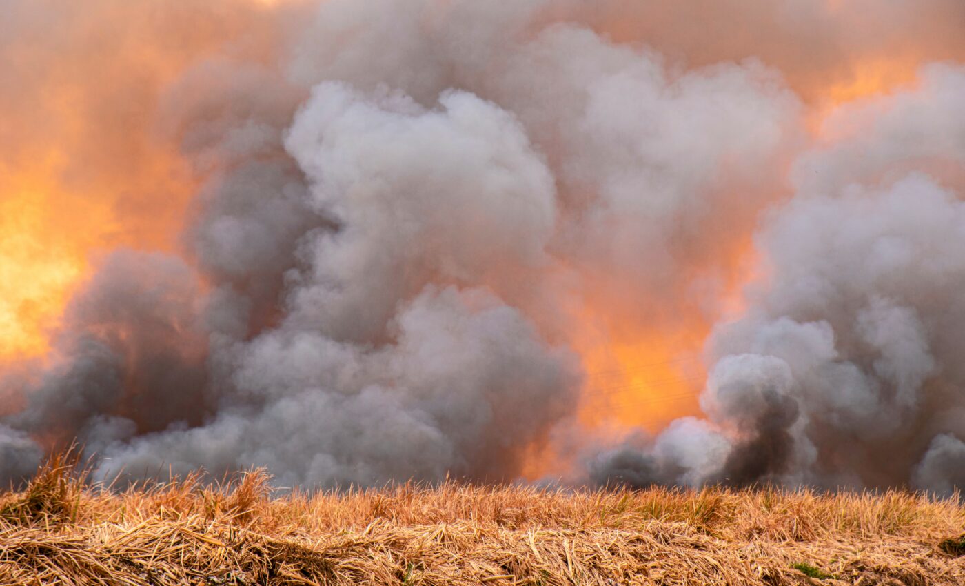 Thousands of COVID-19 cases linked to wildfires