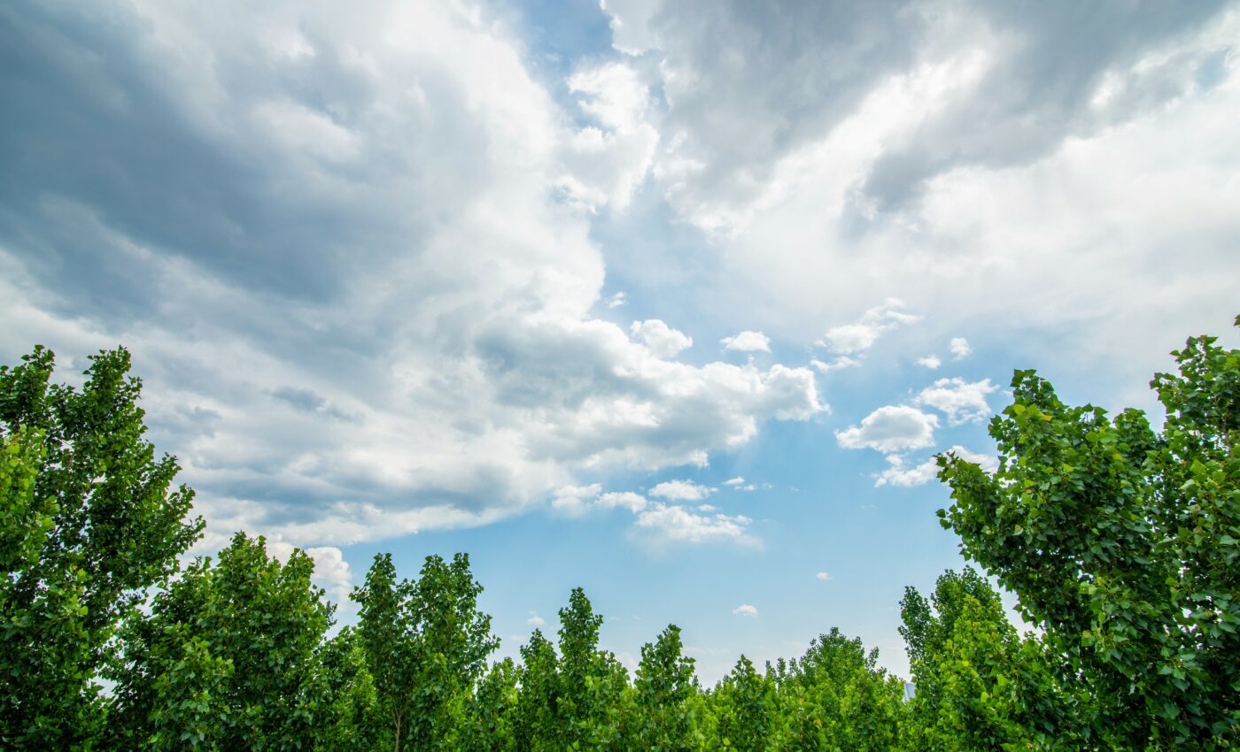 Ban on ozone depleting substances prevented catastrophic consequences