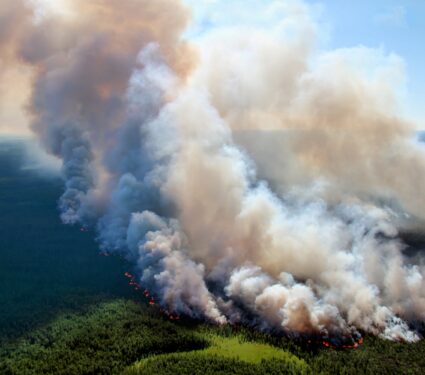 Wildfire-pollution.jpg
