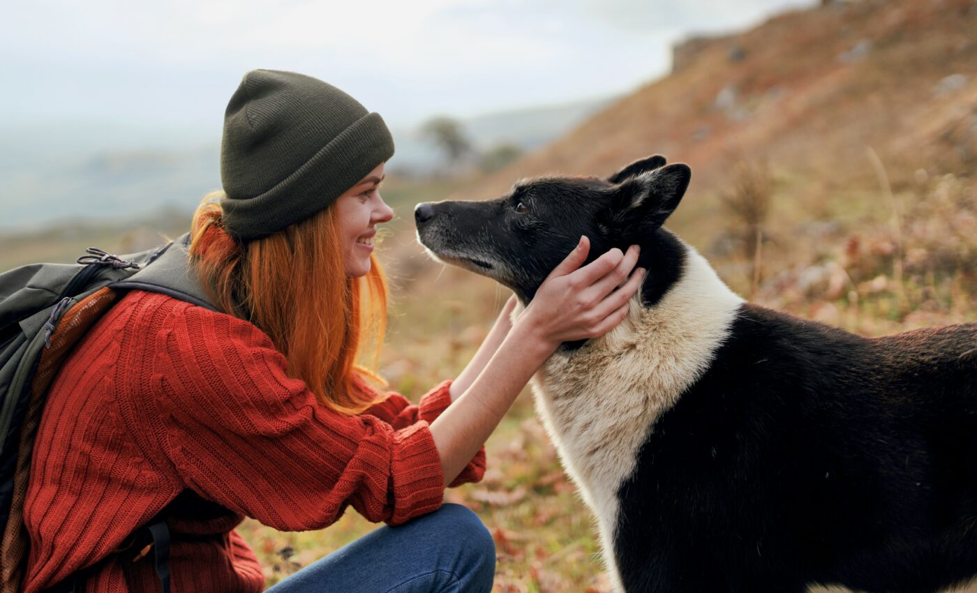 Dogs become attached to their owner's voice