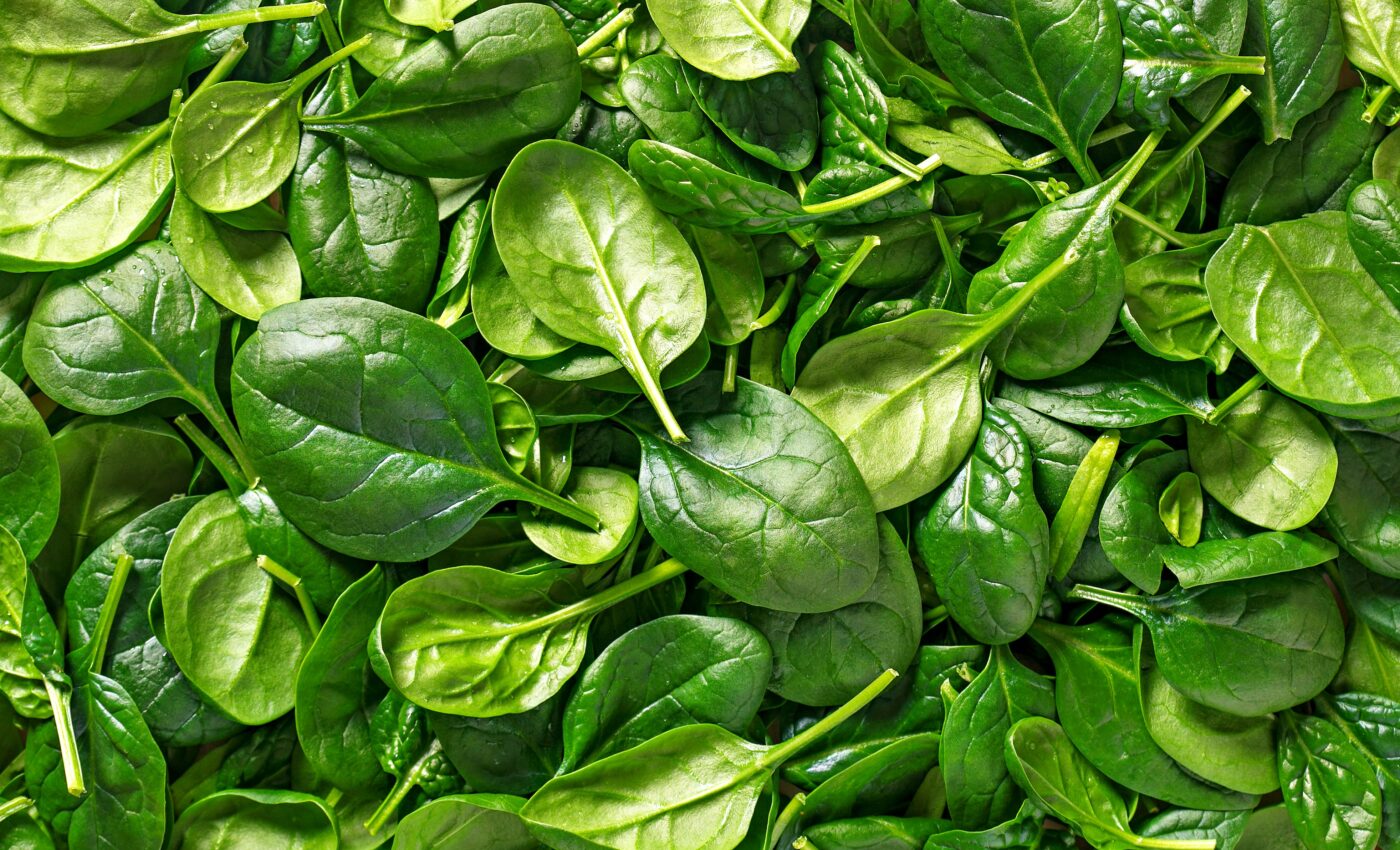 Edible plants could replace shots as vaccines