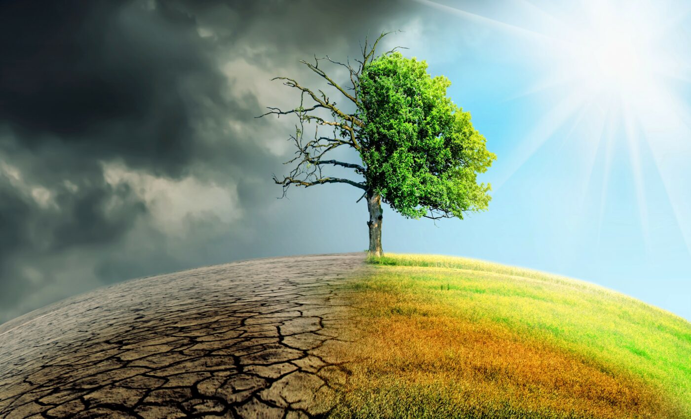 Climate change is following a pattern similar to Earth’s largest mass extinction