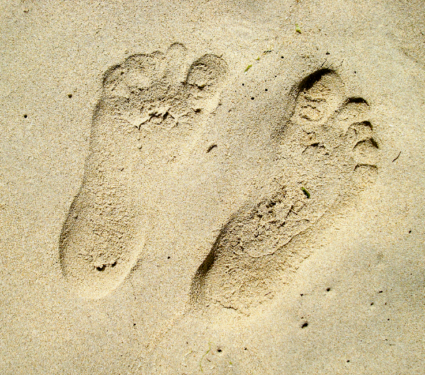 2021/09/Footprints.png
