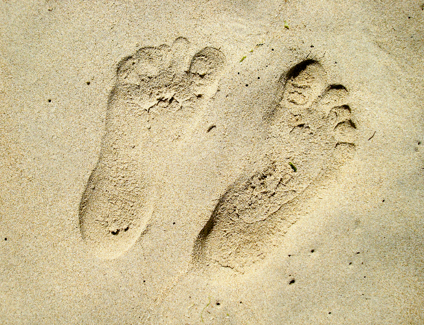 Humans were in North America during Last Glacial Maximum