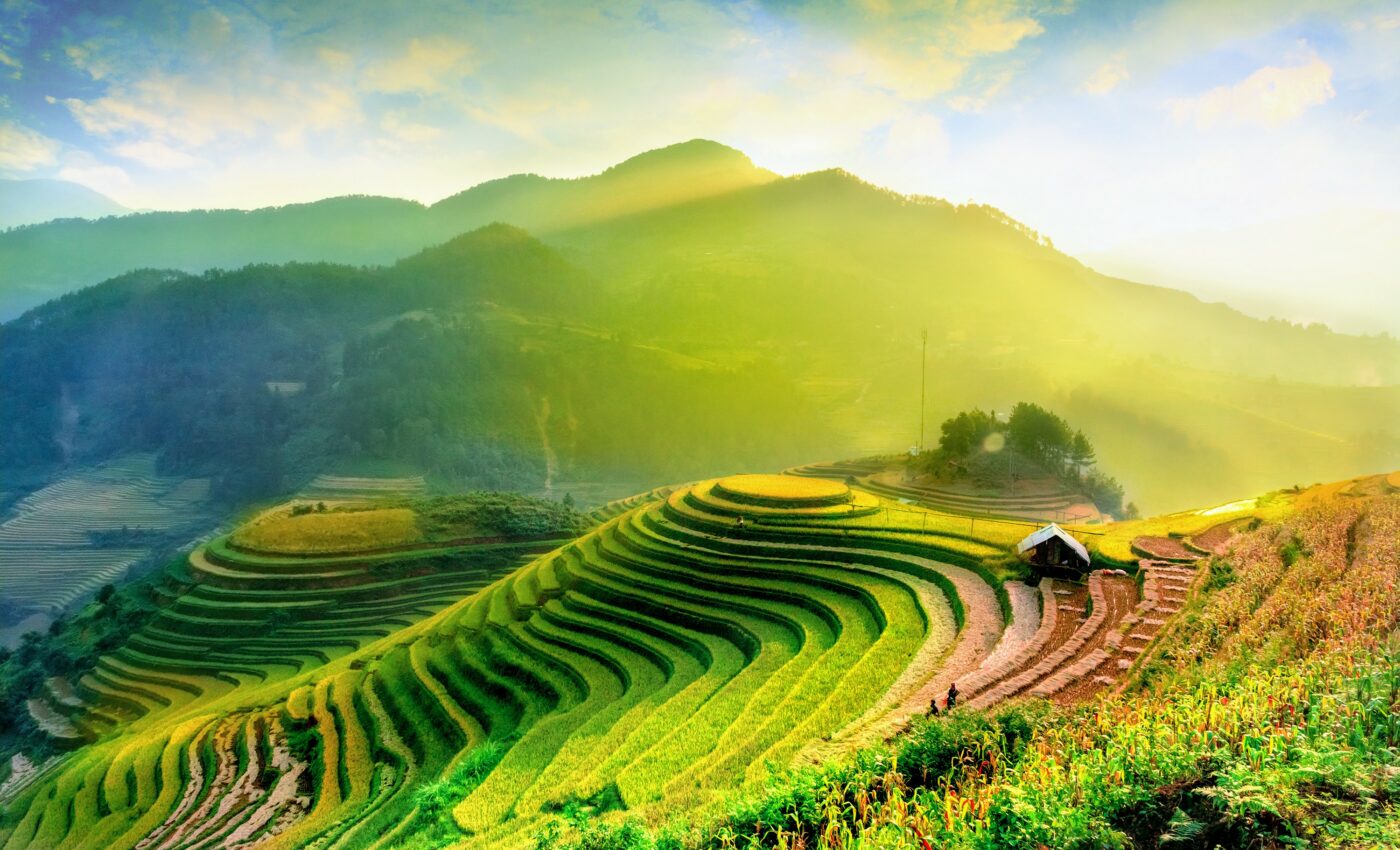 Farmland must be spared, not shared, for nature to thrive