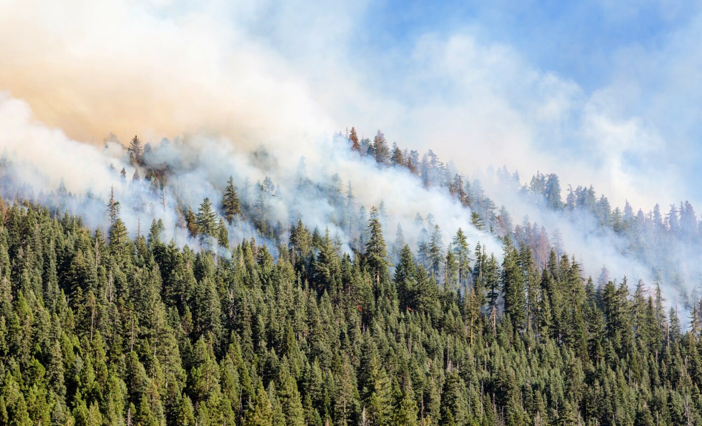 Wildfires in the West linked to smoke-related deaths in the East