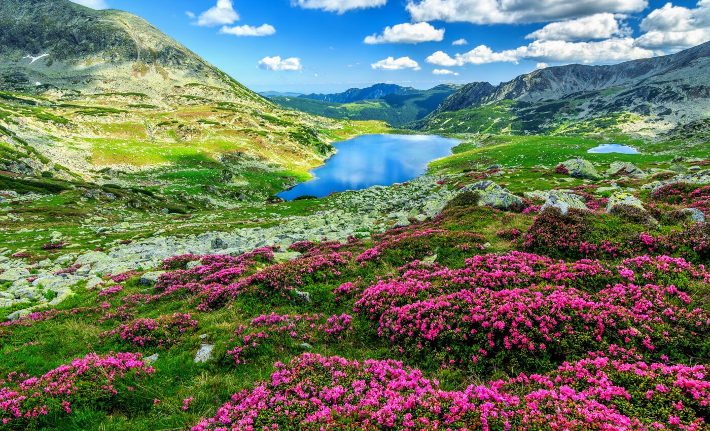 Using light to identify plant populations