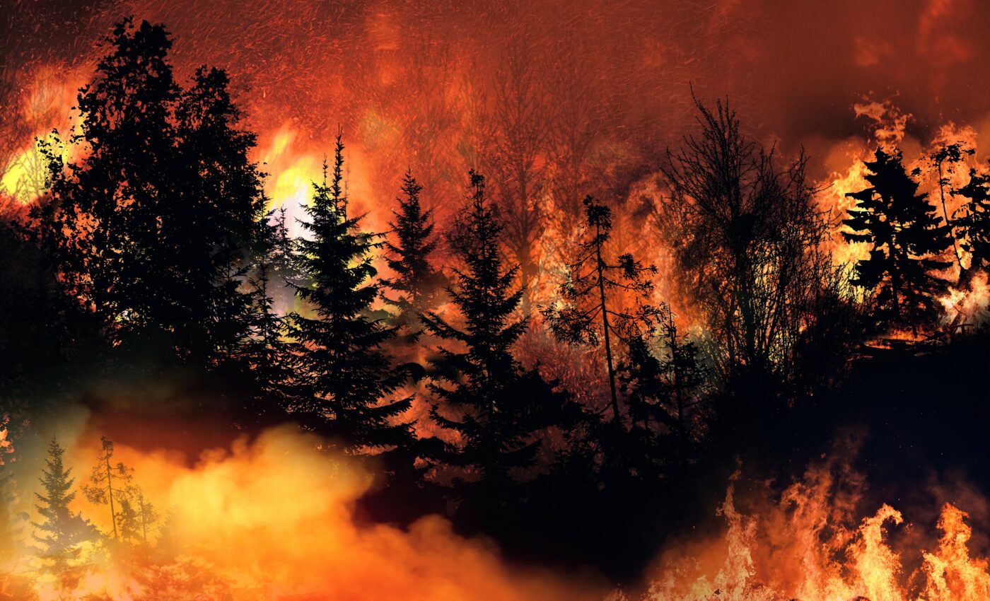 Wildfires were common in ancient Antarctica