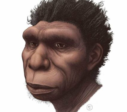 2021/10/Human-ancestor.jpg