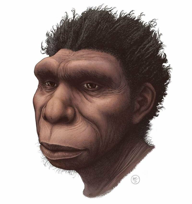 Scientists have named a new human ancestor