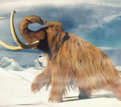 Woolly,Mammoth,,Prehistoric,Animal,In,Frozen,Ice,Age,Landscape,(3d