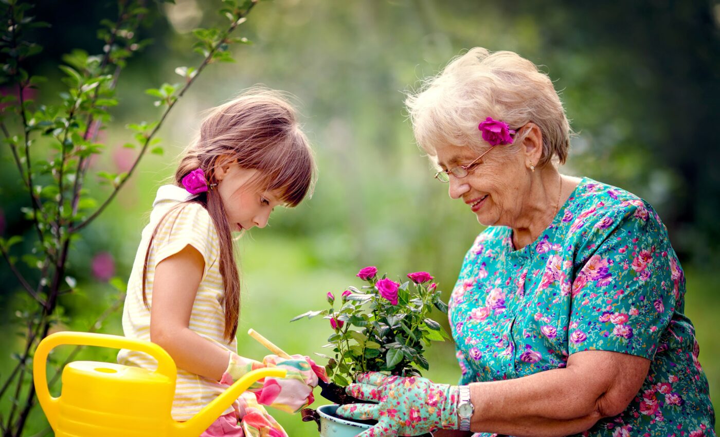 How a grandmother's brain reacts to the sight of her grandchildren