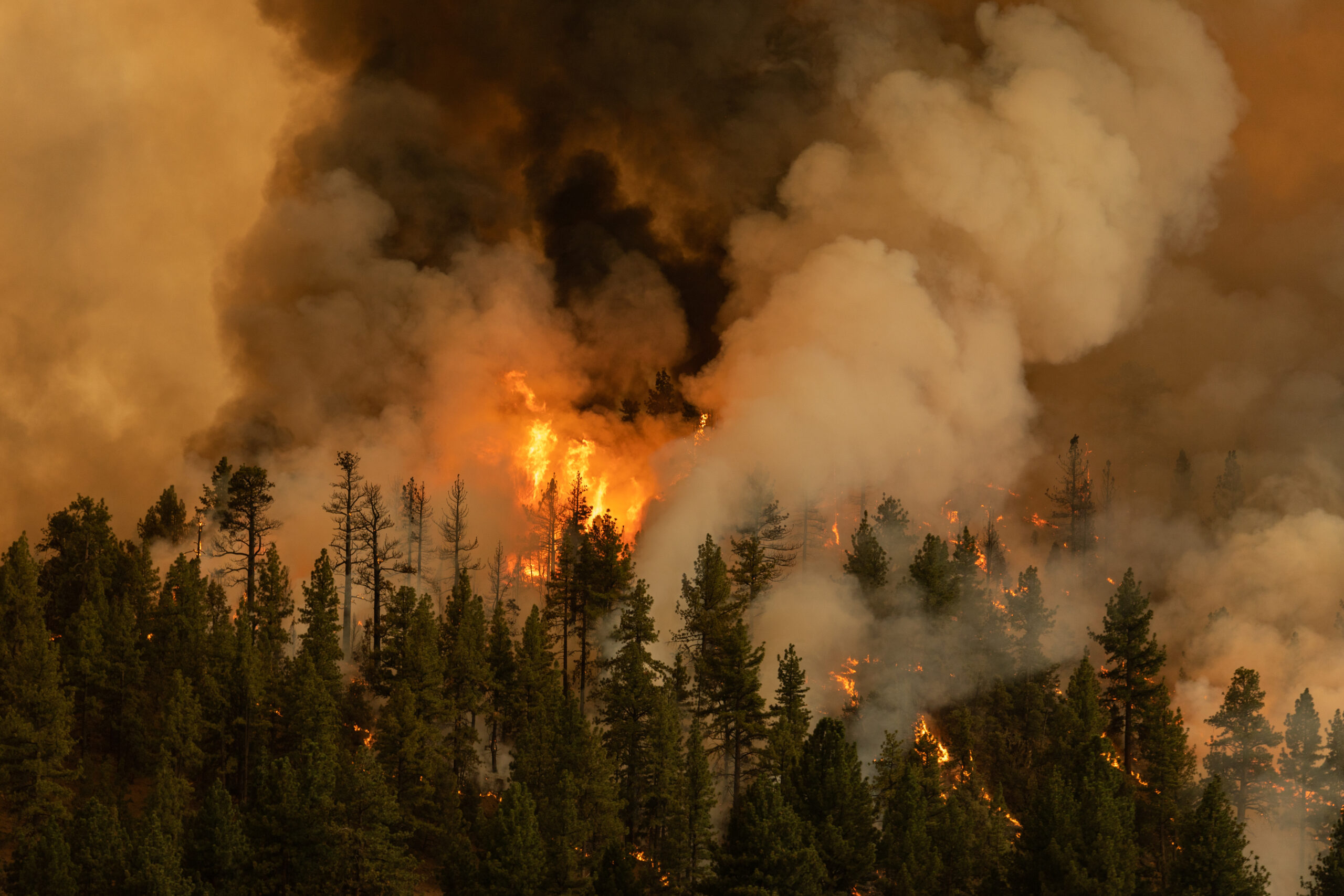 How satellites will help us tackle the climate crisis