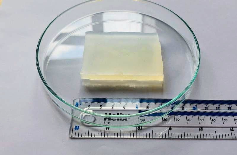 New hydrogel is so strong that an elephant could stand on it