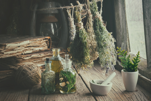 A Beginner's Guide to Medicinal Leaves (That Actually Do Something)