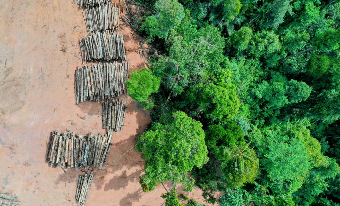Deforestation made outdoor work unsafe for millions