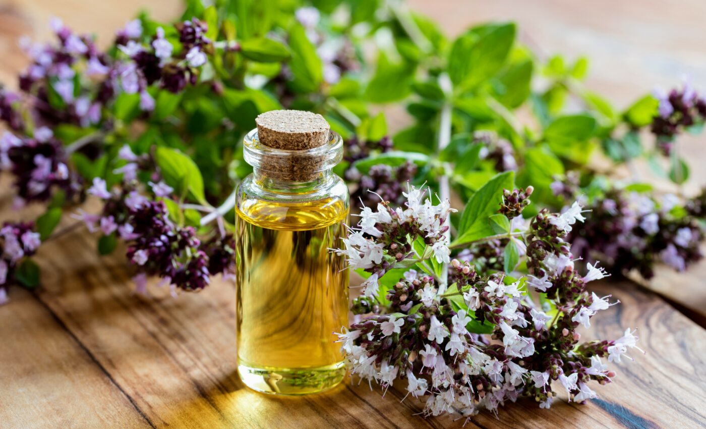 Unlocking anti-cancer compounds in thyme and oregano
