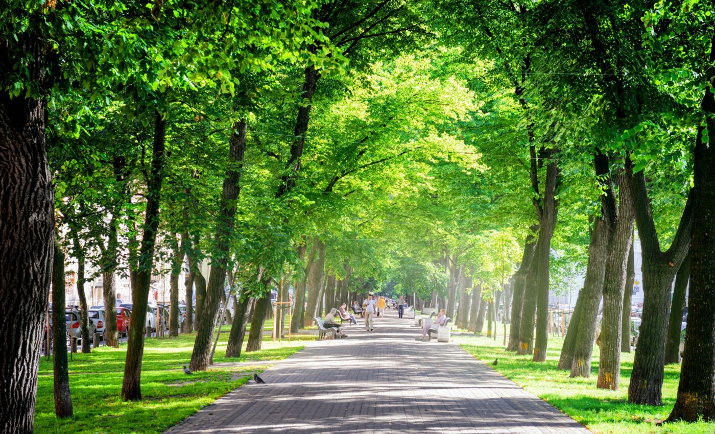 Contact with nature reduces feelings of loneliness