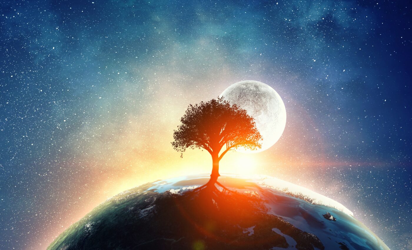 Webb will completely change how we view the universe