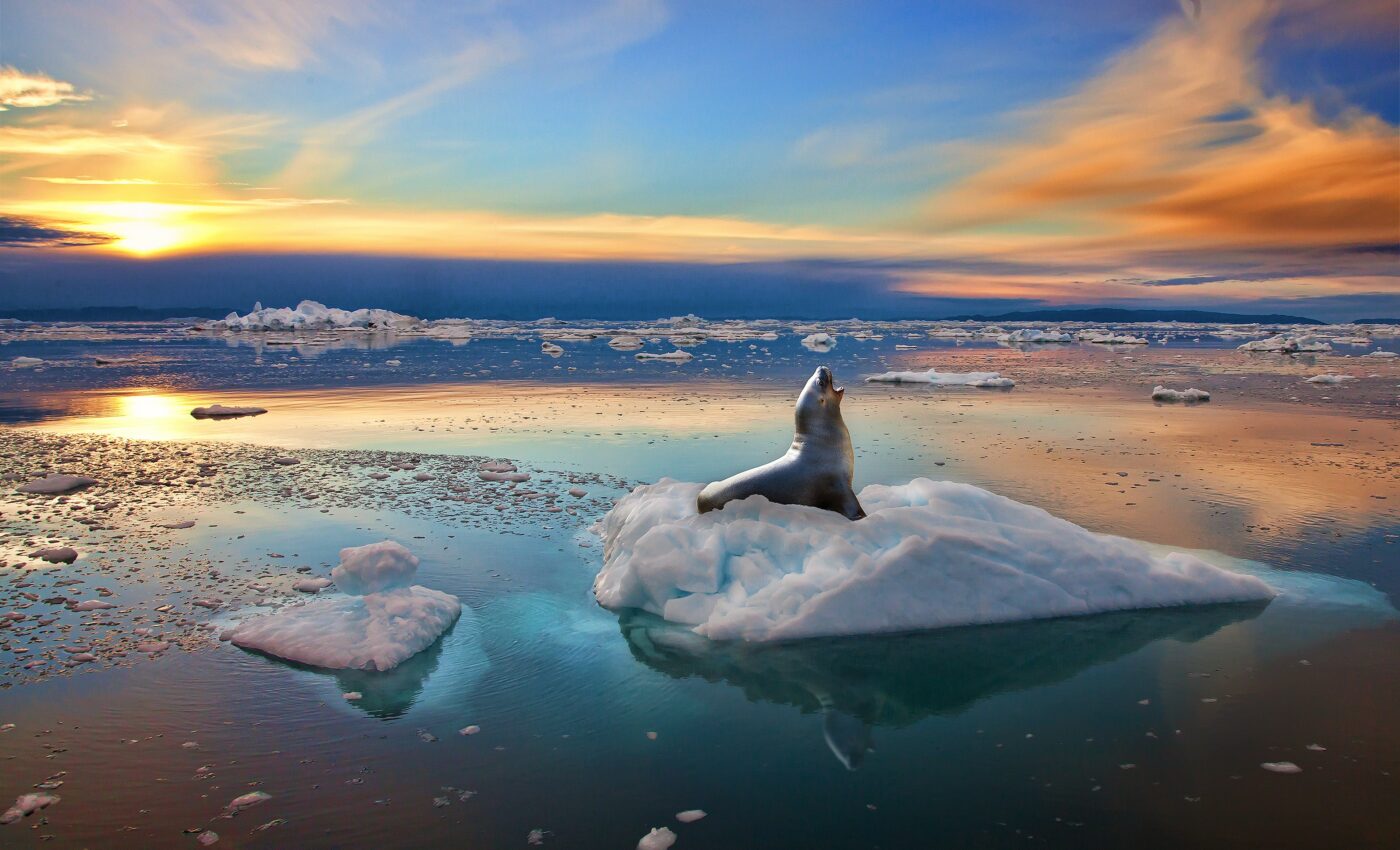 Arctic sea ice loss influences wildfires in the western US