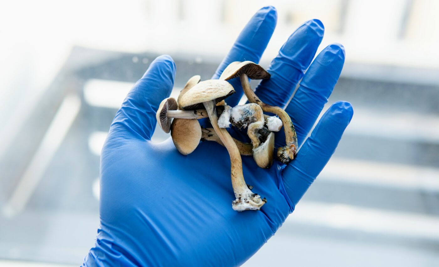 Psilocybin can safely treat mental health disorders