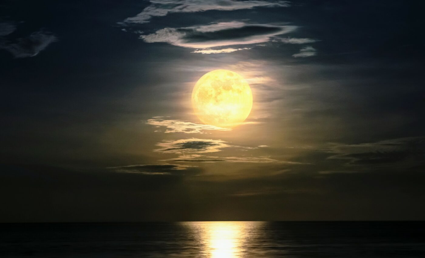 All living things are affected by gravitational tides