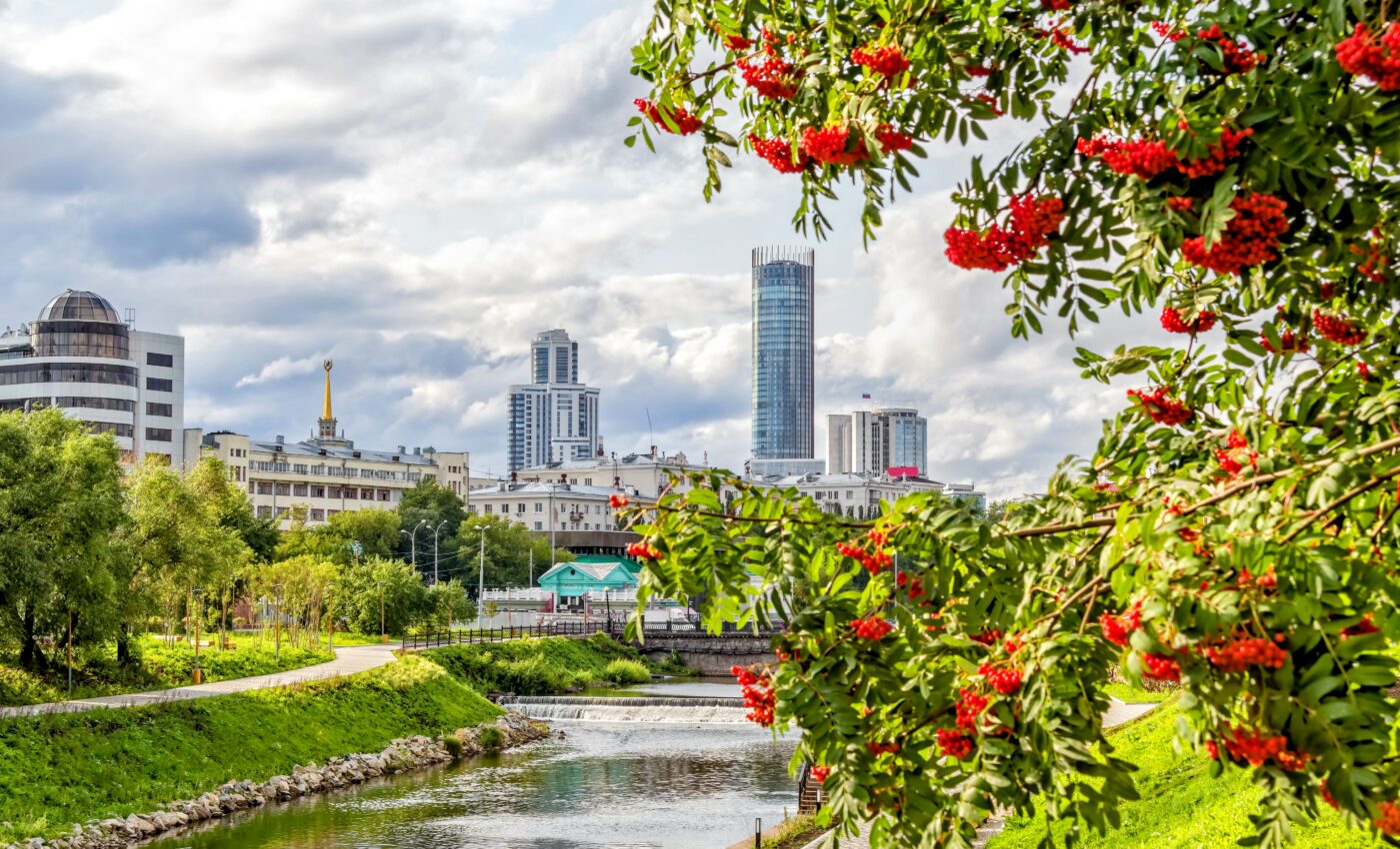 Urban gardens provide a reliable food supply for pollinators