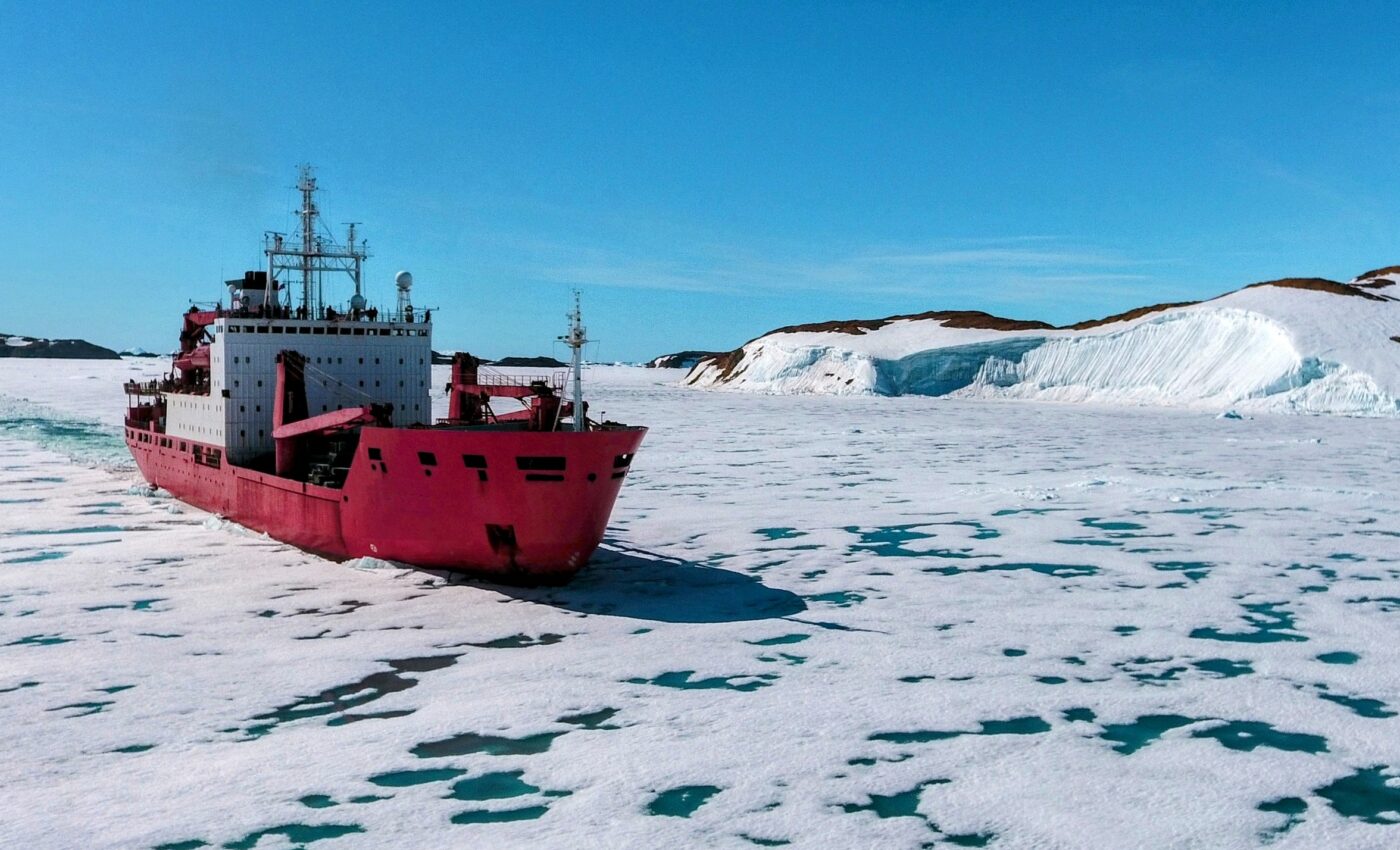 Invasive species are arriving with ships in Antarctica