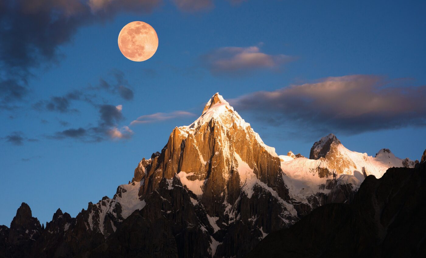 Shark attacks linked to phases of the Moon