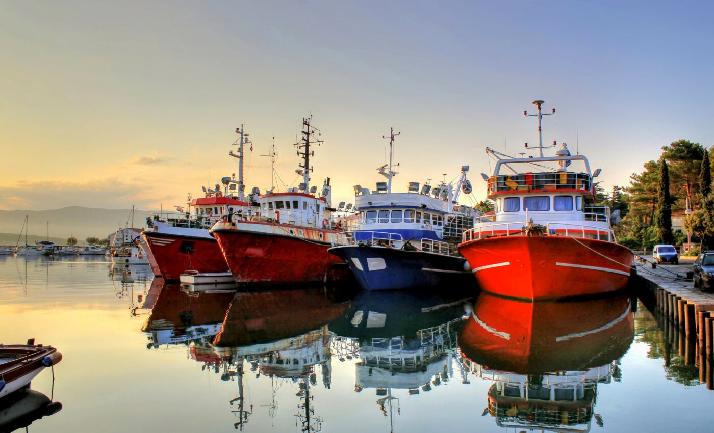 Nearly half of the world’s shared fish are on the move