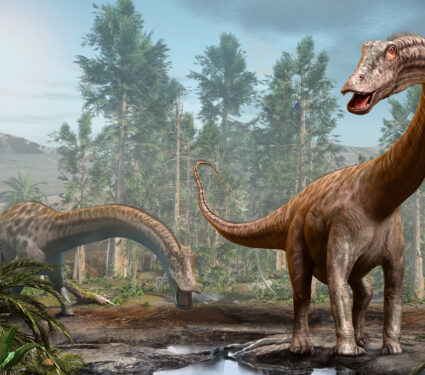Diplodocus,Dinosaur,Scene,From,The,Jurassic,Era,3d,Illustration