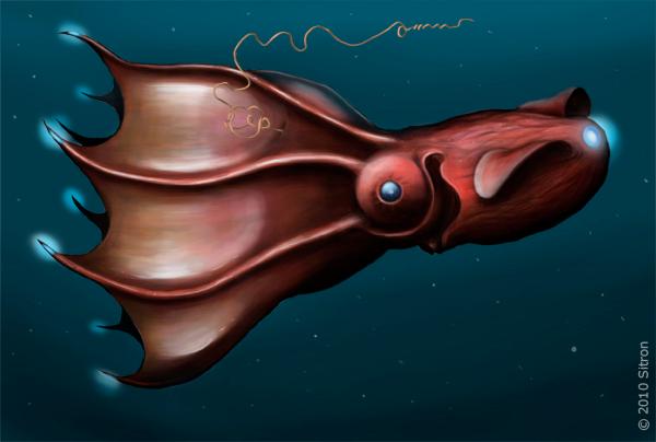 No, the Vampire Squid Isn't As Scary As It Sounds