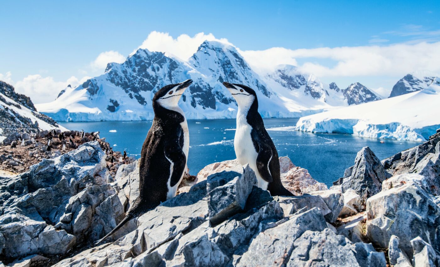 How Antarctic sea ice has fluctuated over the past century