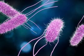 3d,Illustration,Of,Salmonella,Bacteria,For,Medicine,Concept.