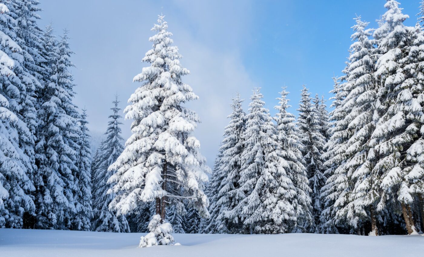 Lower emissions needed to save the winter season