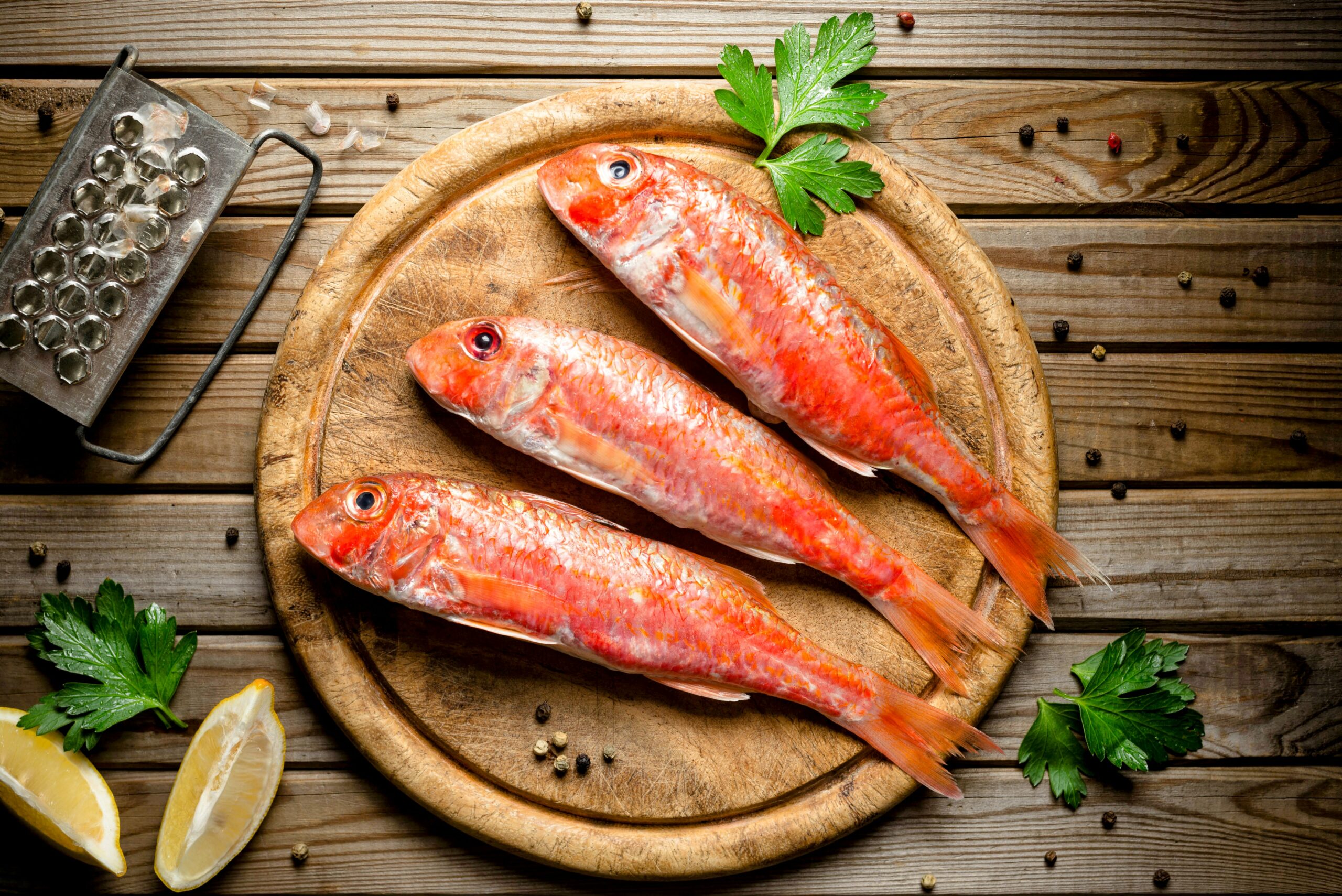 Many fish species will be under extreme pressure by 2100