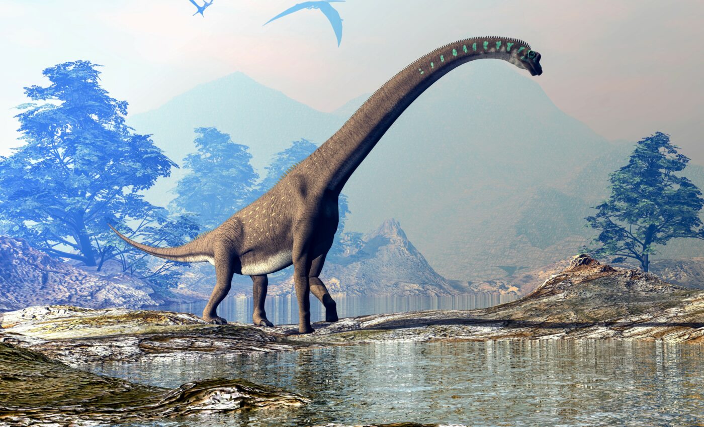 Enormous Titanosaur discovered in the Pyrenees