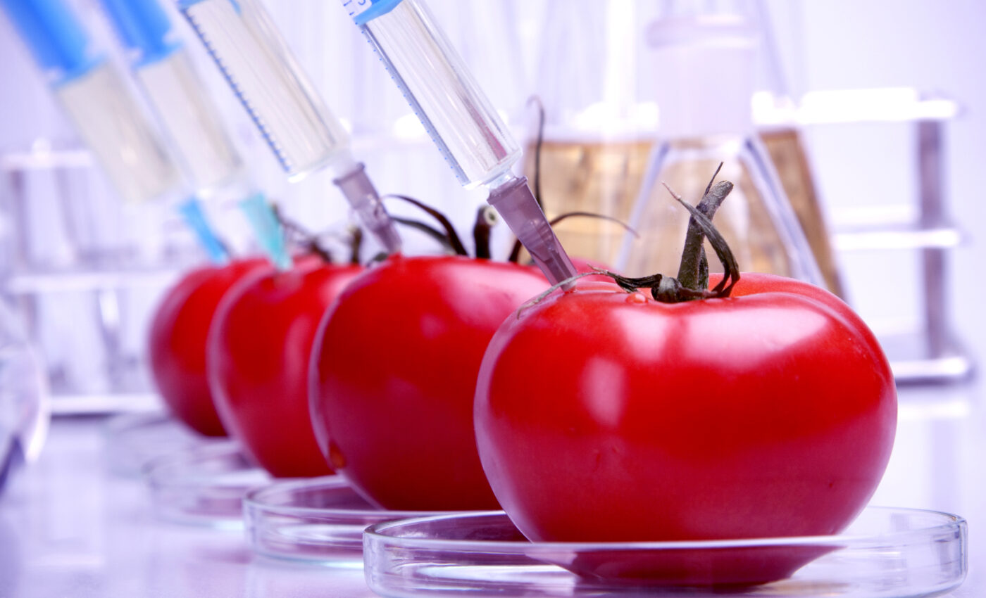 Genetically modified crops could reduce climate impacts