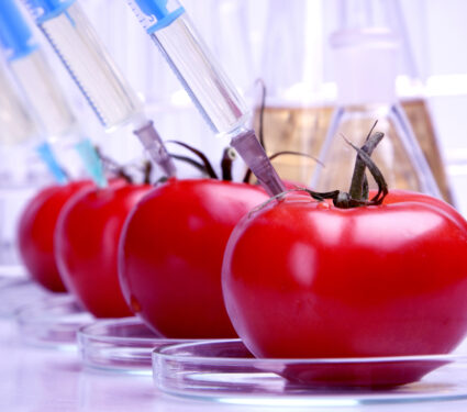 Food,In,Laboratory,,Dna,Modify