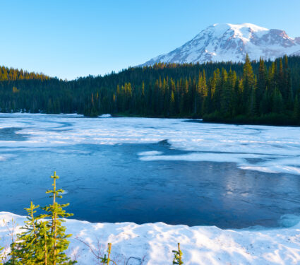 Frozen,Reflection,Lake,And,Mount,Rainier,At,Sunrise,,Mount,Rainier