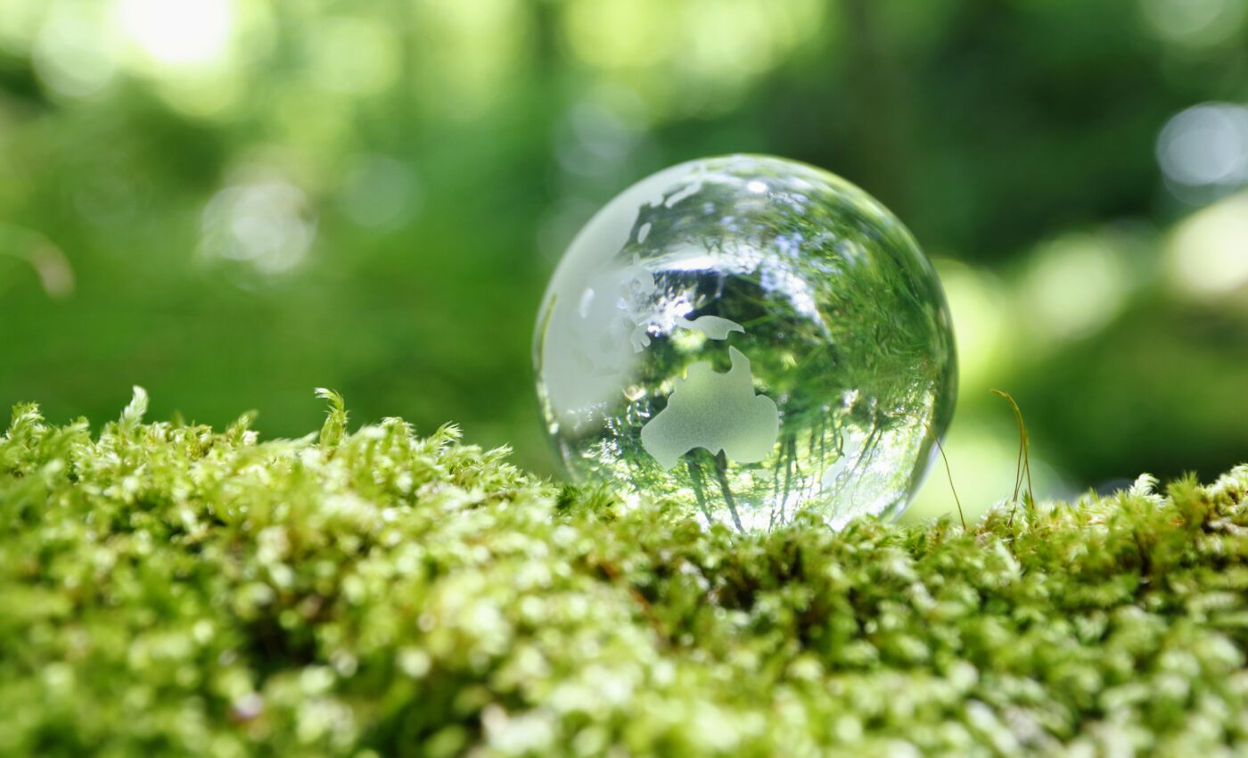 Scientists use bacteria to convert CO2 into valuable chemicals