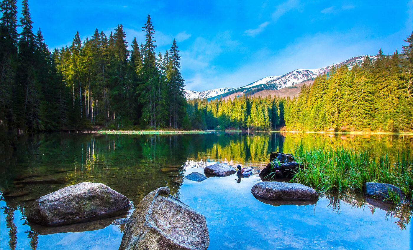 Salt pollution threatens freshwater ecosystems