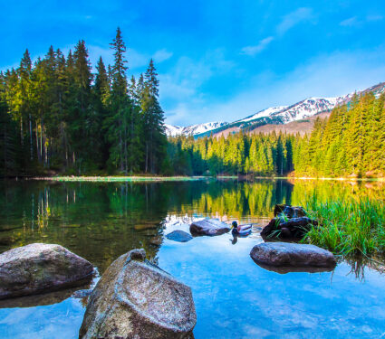 Stones,In,The,Calm,Water,Of,A,Mountain,Lake